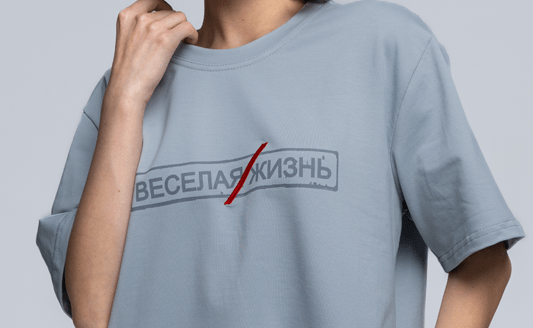 Футболка “ВЕСЕЛАЯ/ЖИЗНЬ” (светл.)