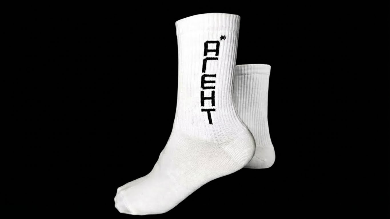 Носки «АГЕНТ 813»